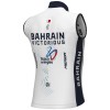 Heren Ale Bahrein Victorious 2025 windvest